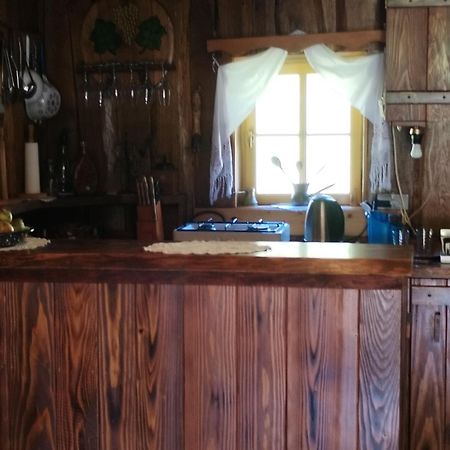 Vacation House Spiritus Flumine Netretic Exterior photo